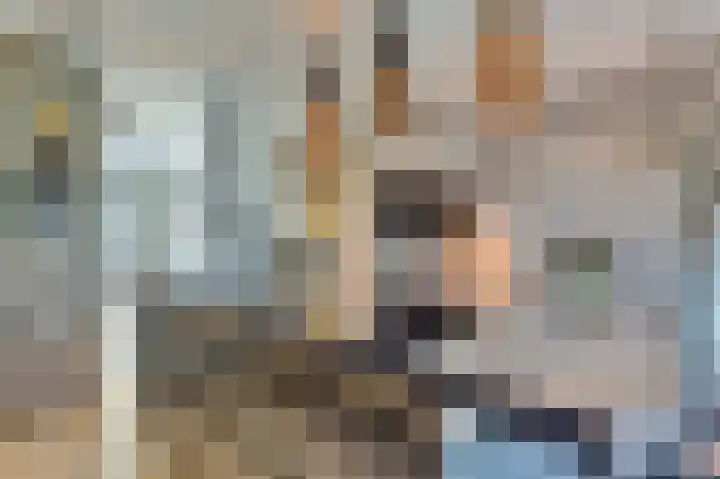 Notarisappelpad 10 Hoef en Haag thumbnail 16