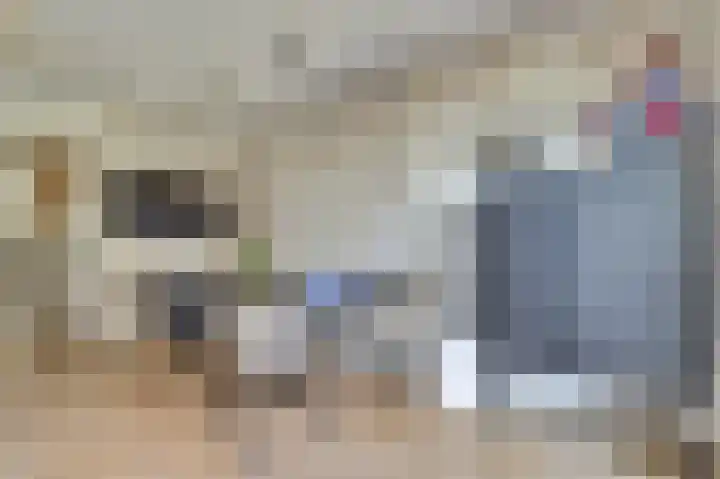 Notarisappelpad 10 Hoef en Haag thumbnail 25