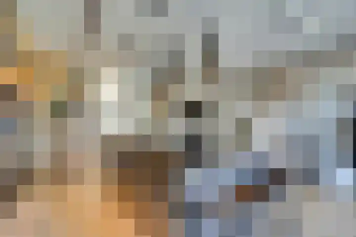 Notarisappelpad 10 Hoef en Haag thumbnail 26