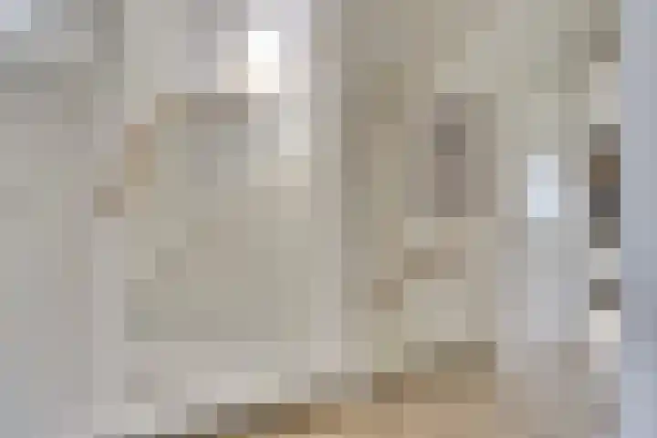 Notarisappelpad 10 Hoef en Haag thumbnail 28