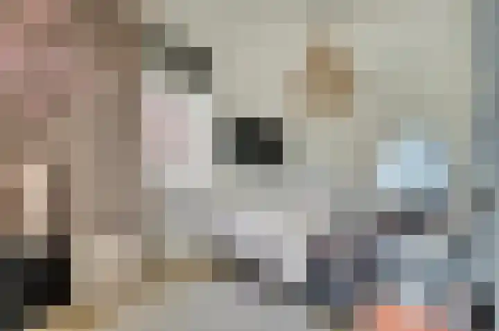 Notarisappelpad 10 Hoef en Haag thumbnail 29