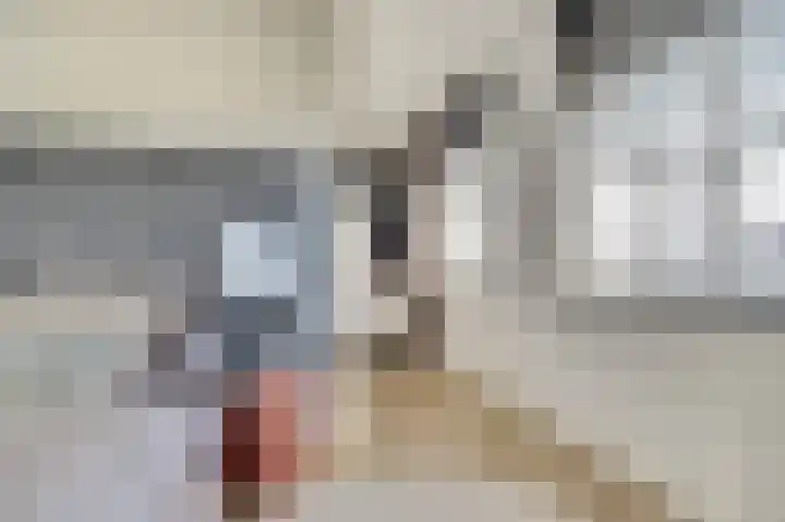Notarisappelpad 10 Hoef en Haag thumbnail 31