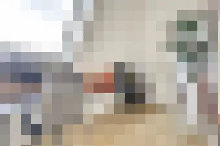 Notarisappelpad 10 Hoef en Haag thumbnail 44