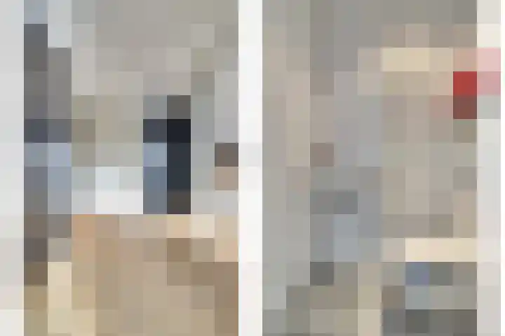 Notarisappelpad 10 Hoef en Haag thumbnail 47