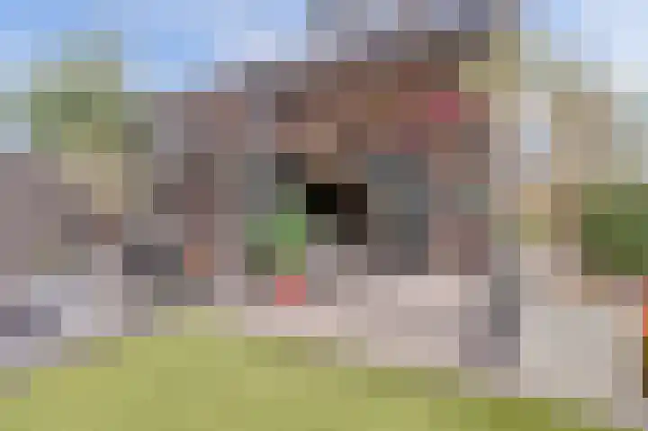 Notarisappelpad 10 Hoef en Haag thumbnail 49