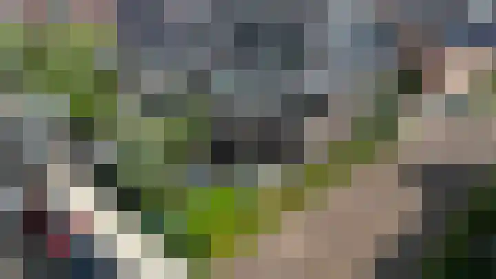 Notarisappelpad 10 Hoef en Haag thumbnail 56