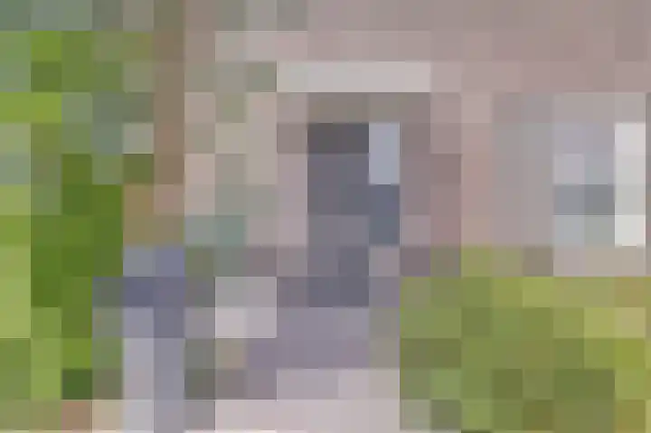 Notarisappelpad 10 Hoef en Haag thumbnail 61