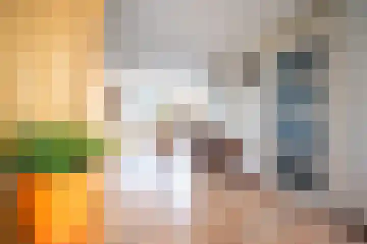 Notarishoeve 8 Apeldoorn thumbnail 17