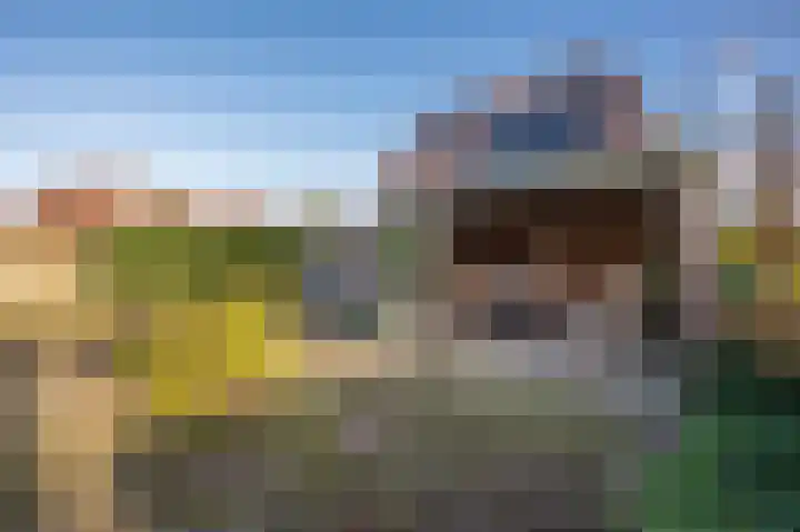 Notarishoeve 8 Apeldoorn thumbnail 26