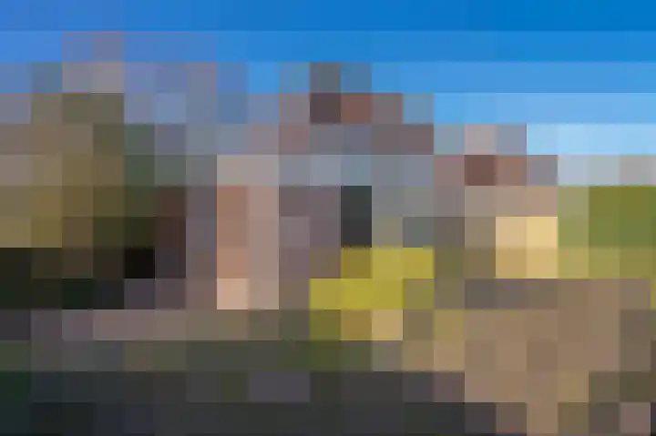 Notarishoeve 8 Apeldoorn thumbnail 30