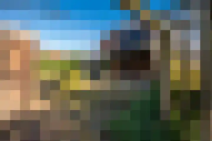 Notarishoeve 8 Apeldoorn thumbnail 37