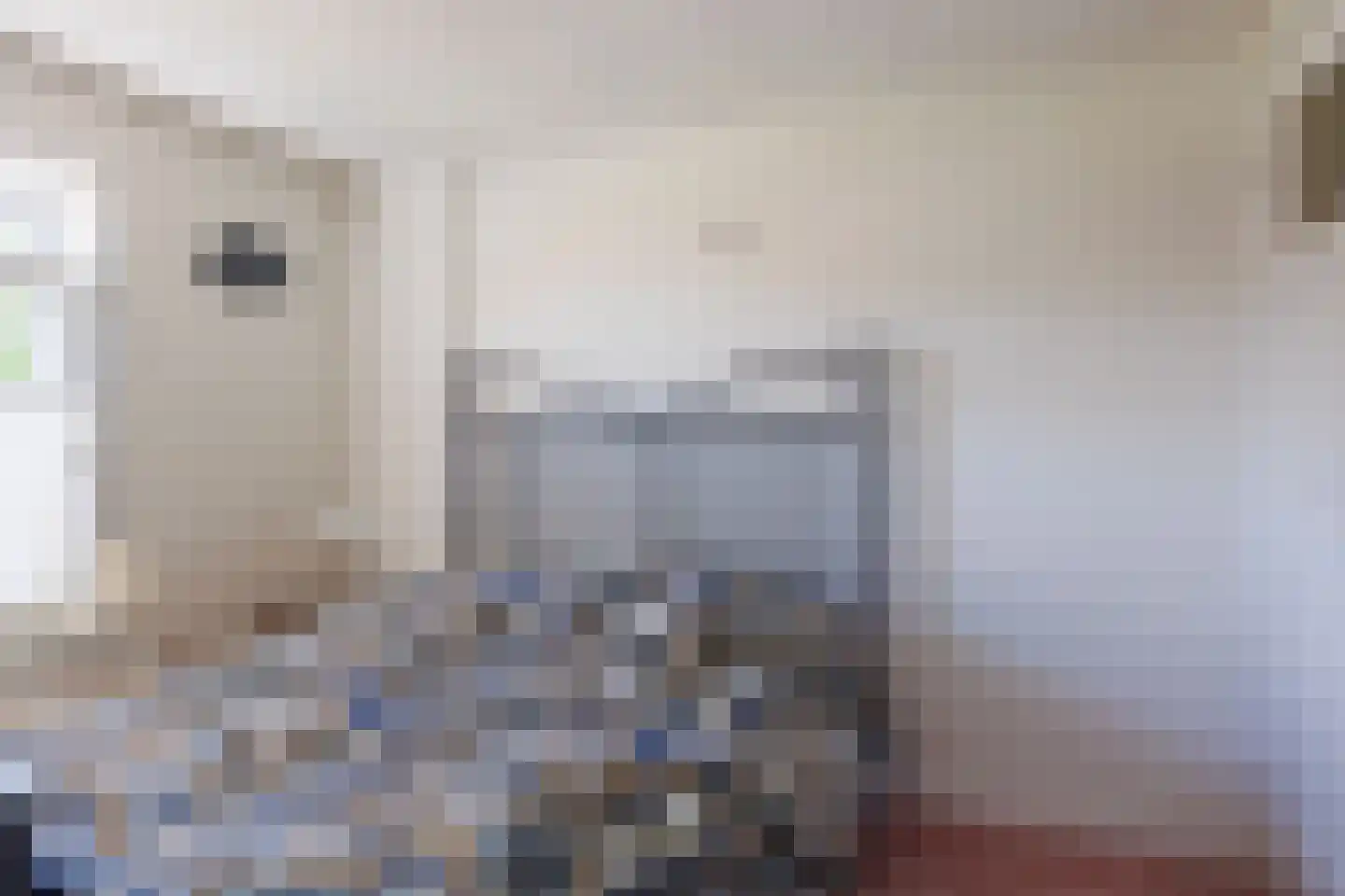 Notarisstraat 7 Afferden L thumbnail 34