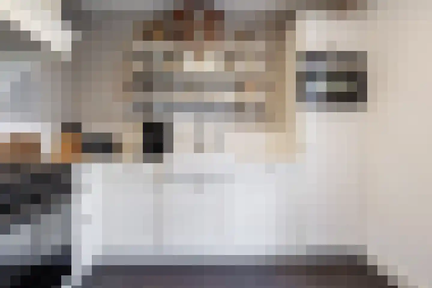 Notarisstraat 7 Afferden L thumbnail 4