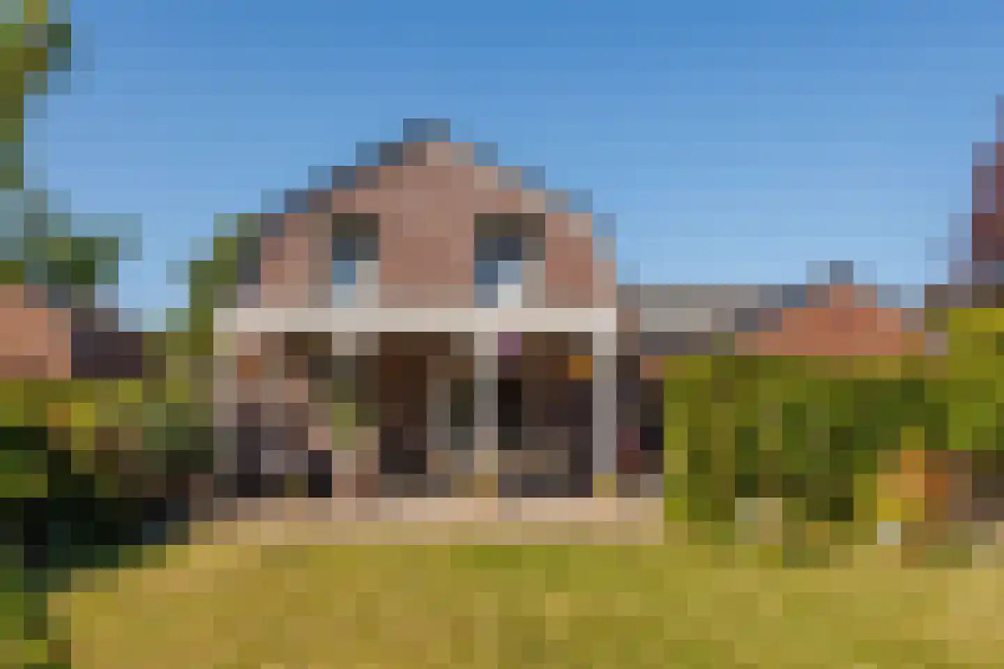 Notarisstraat 7 Afferden L thumbnail 46