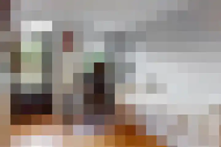 Notebomenhof 28 Utrecht thumbnail 21