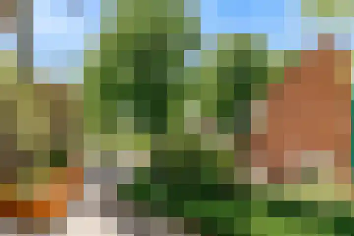 Notebomenhof 28 Utrecht thumbnail 27