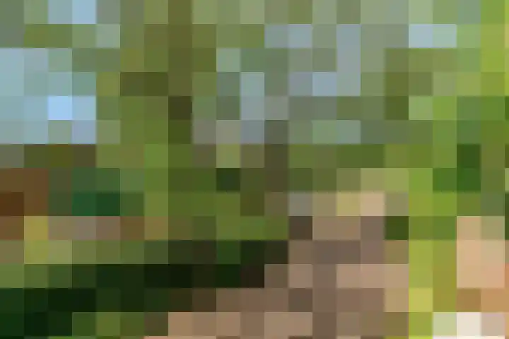 Notebomenhof 28 Utrecht thumbnail 28