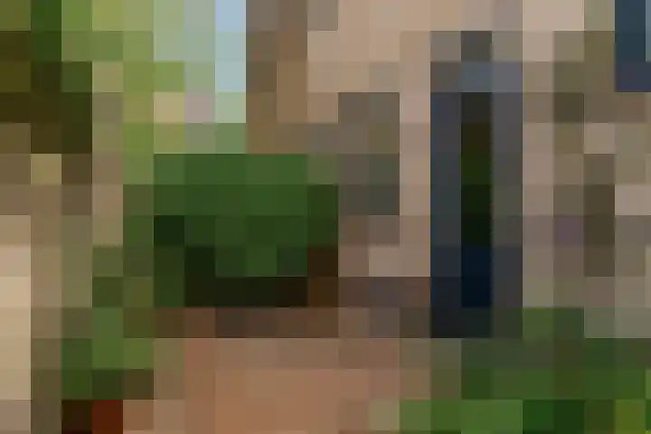 Notebomenhof 28 Utrecht thumbnail 29