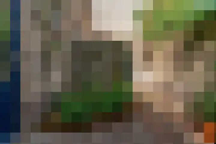 Notebomenhof 28 Utrecht thumbnail 30