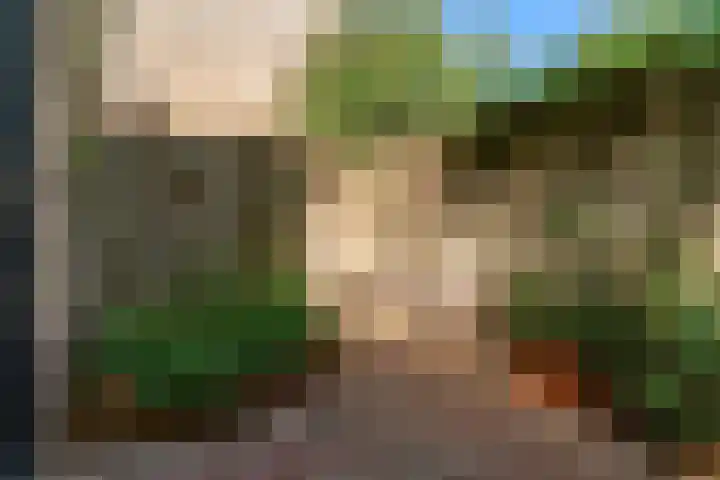 Notebomenhof 28 Utrecht thumbnail 31