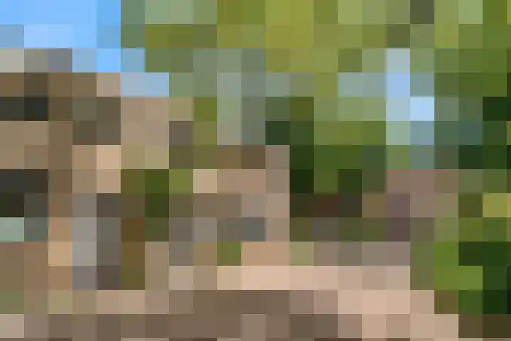 Notebomenhof 28 Utrecht thumbnail 32