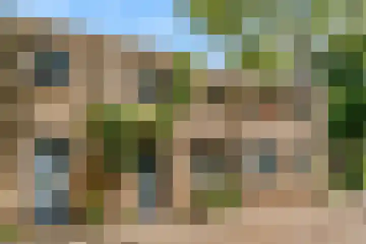 Notebomenhof 28 Utrecht thumbnail 34