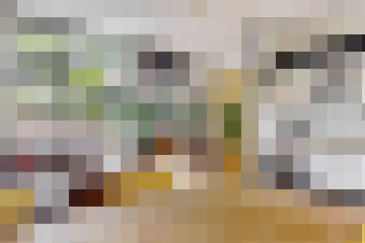 Notebomenhof 28 Utrecht thumbnail 7