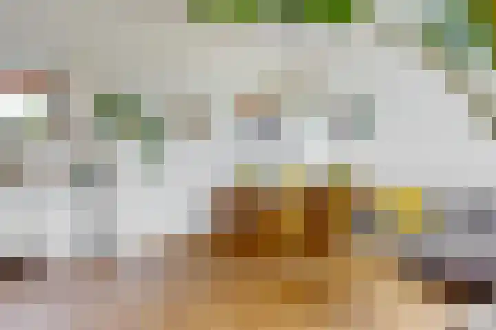 Notebomenhof 28 Utrecht thumbnail 9