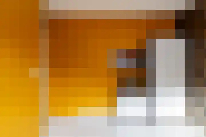 Notebomenlaan 80 Utrecht thumbnail 10