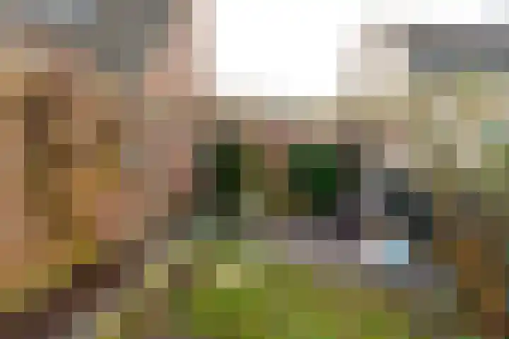 Notebomenlaan 80 Utrecht thumbnail 23
