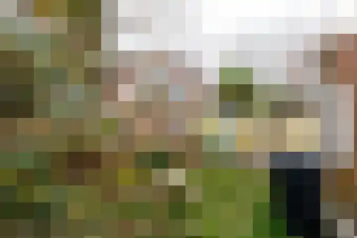 Notebomenlaan 80 Utrecht thumbnail 25