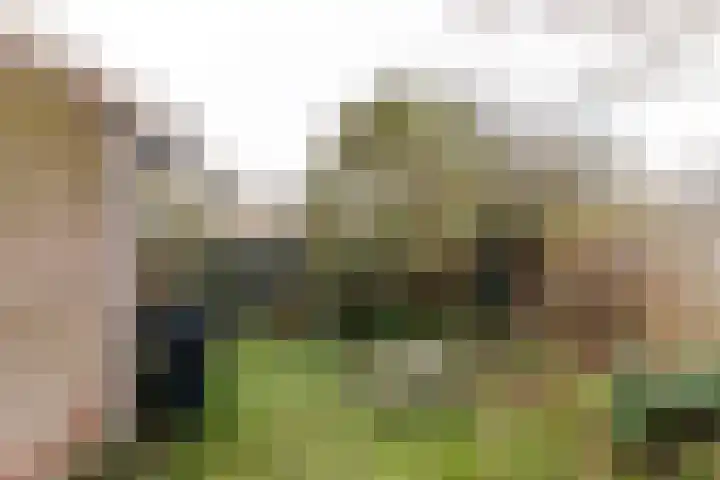 Notebomenlaan 80 Utrecht thumbnail 26