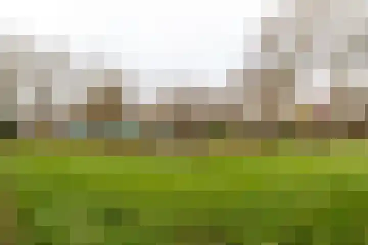 Notebomenlaan 80 Utrecht thumbnail 28