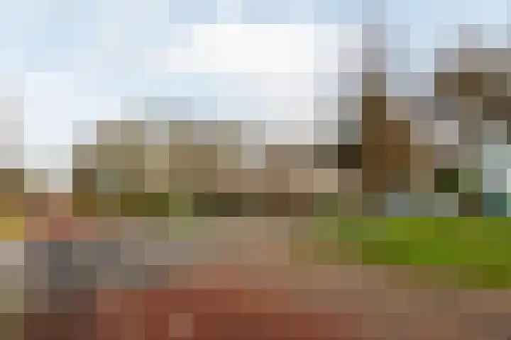 Notebomenlaan 80 Utrecht thumbnail 31