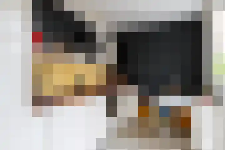 Notebomenlaan 80 Utrecht thumbnail 6