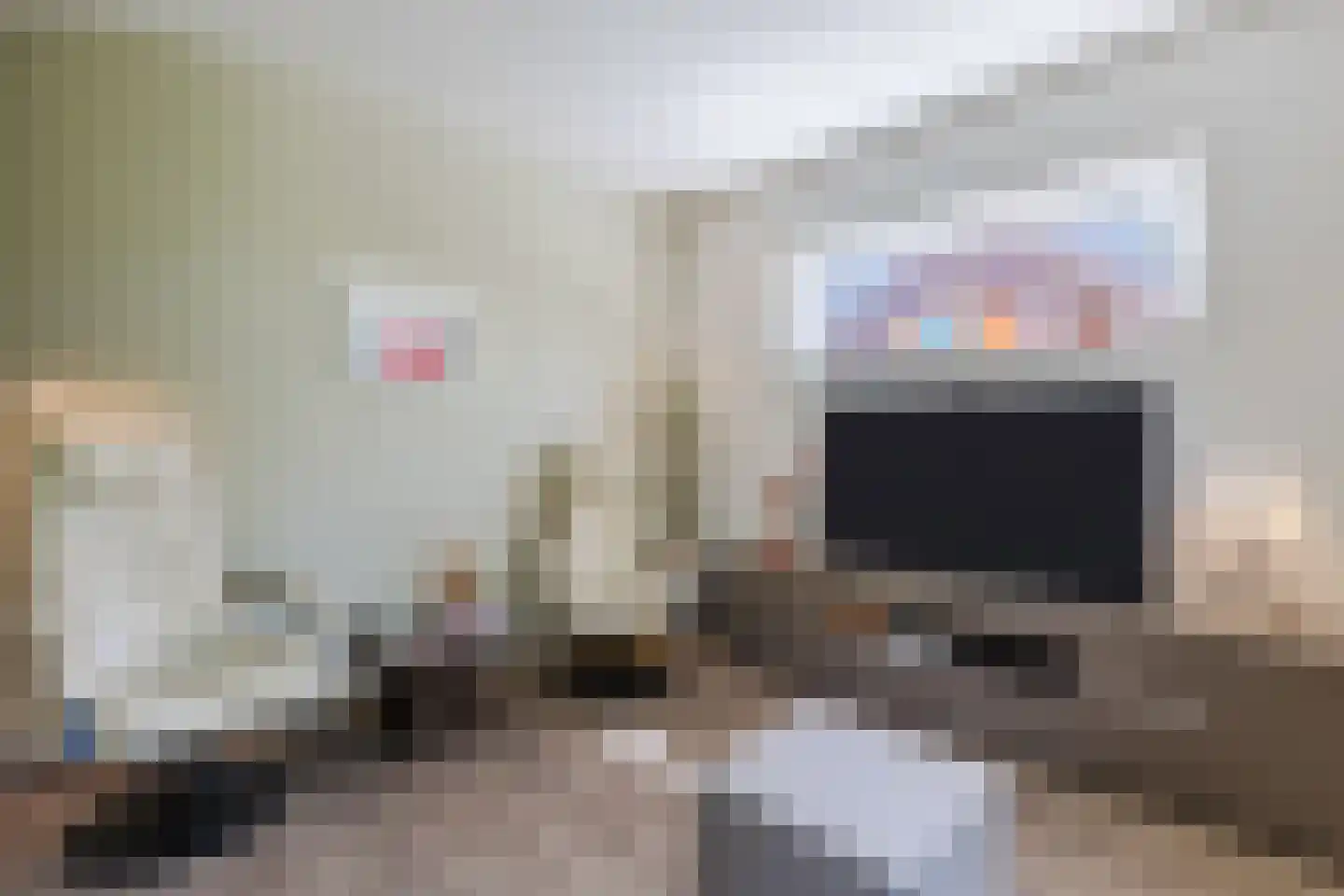 Noteboom 2 a Culemborg thumbnail 10