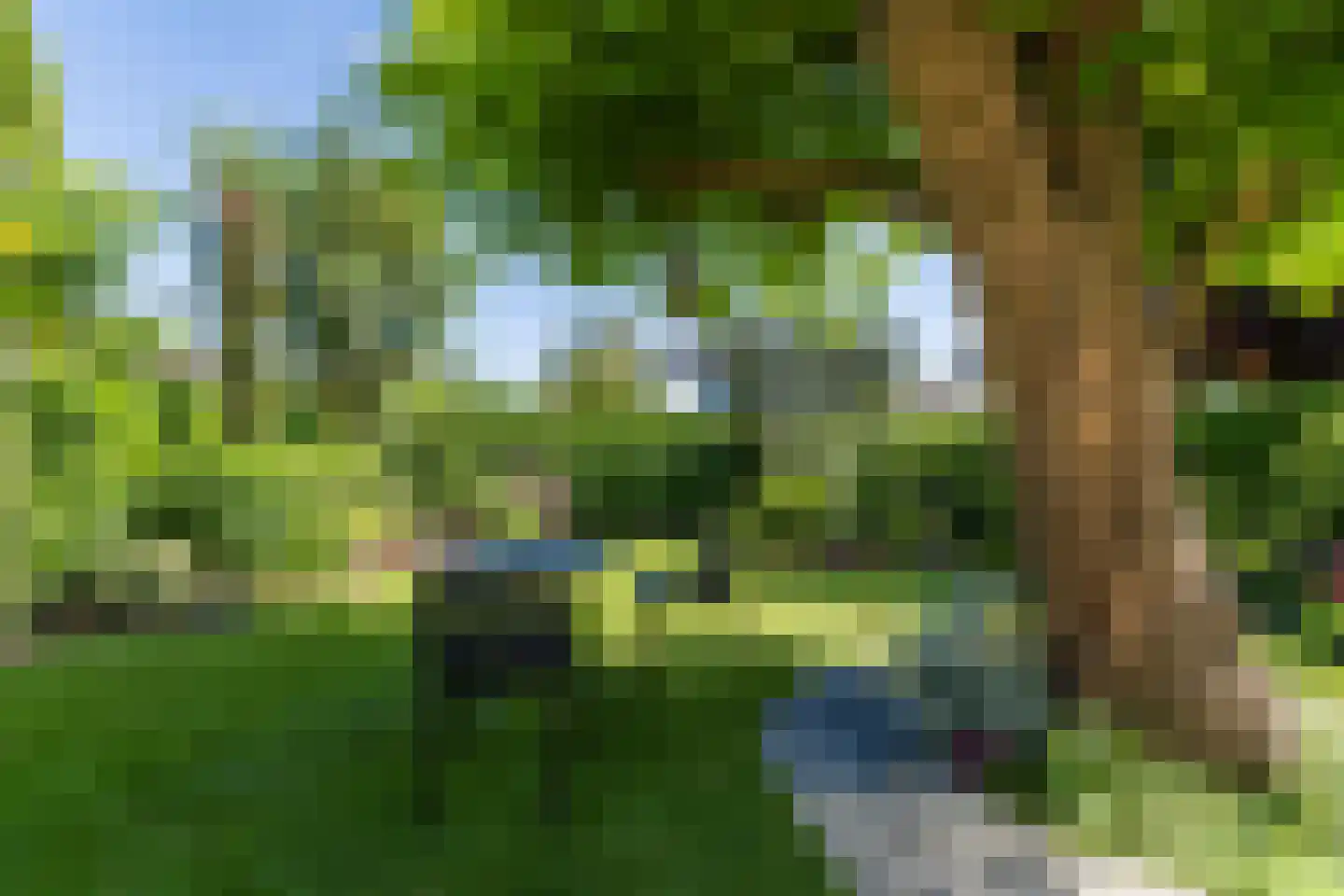 Noteboom 2 a Culemborg thumbnail 38