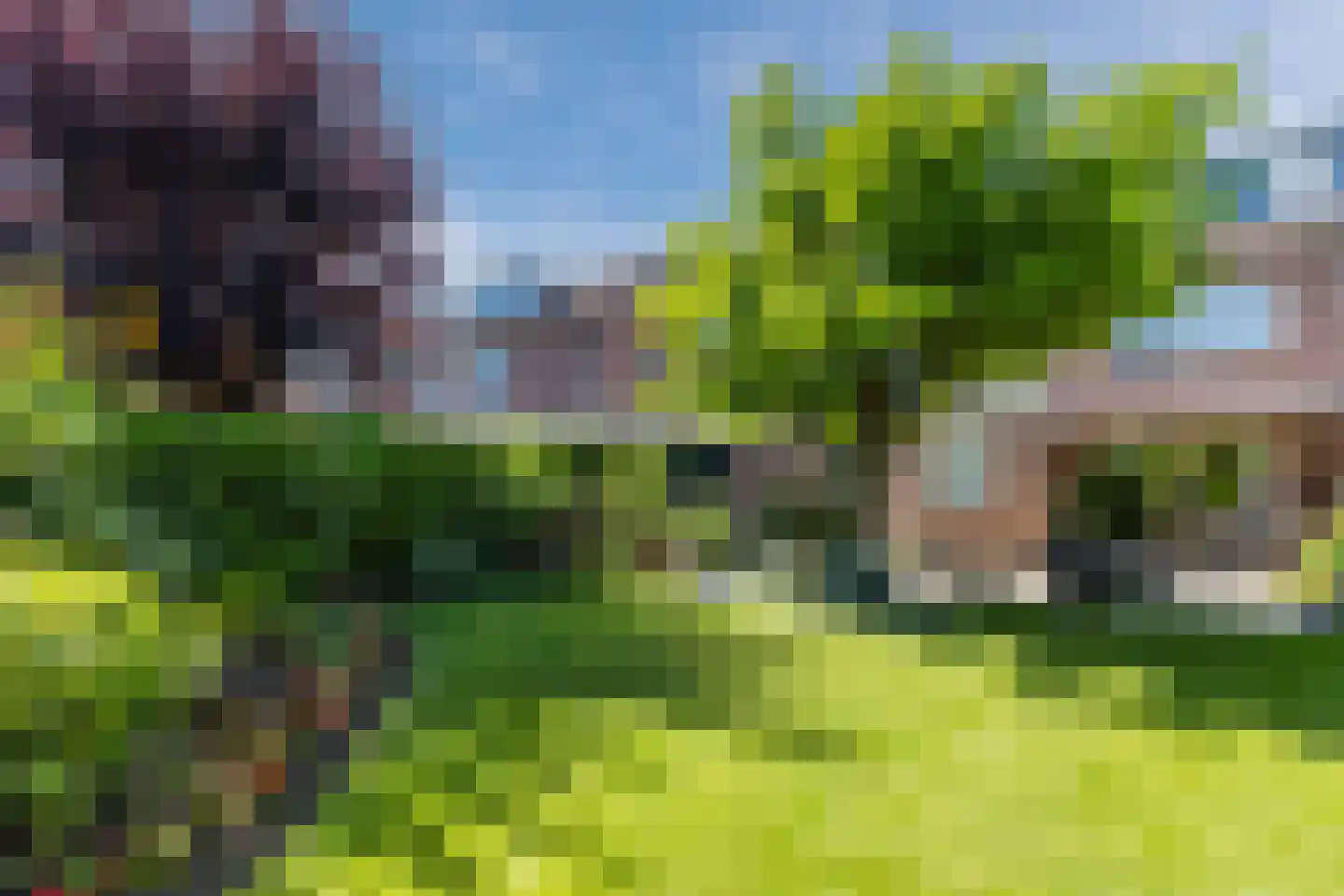 Noteboom 2 a Culemborg thumbnail 4