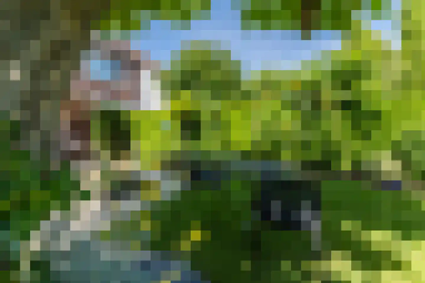 Noteboom 2 a Culemborg thumbnail 40