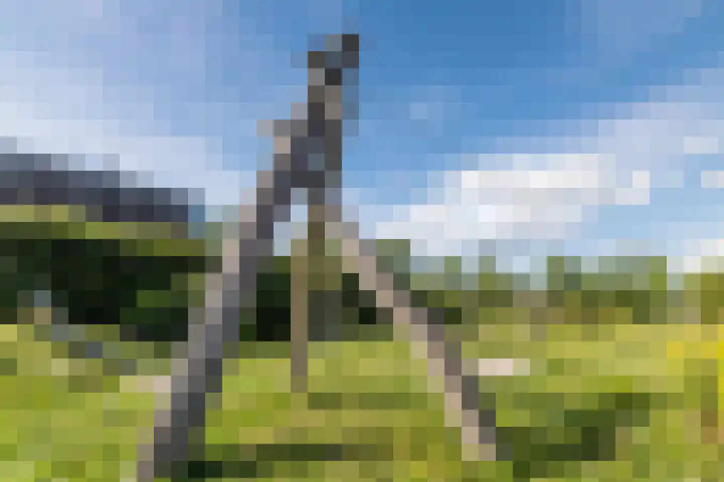 Noteboom 2 a Culemborg thumbnail 42