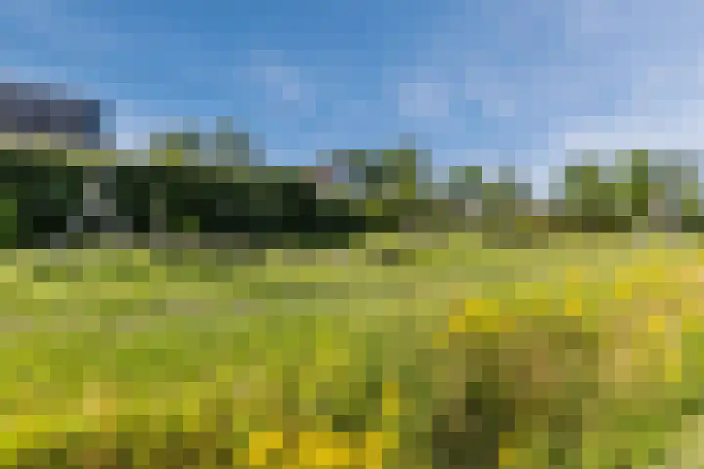 Noteboom 2 a Culemborg thumbnail 43