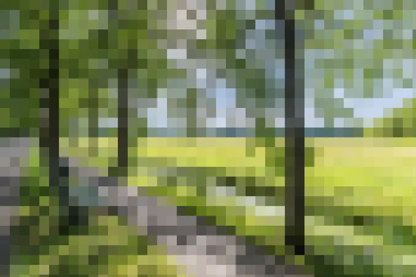 Noteboom 2 a Culemborg thumbnail 44
