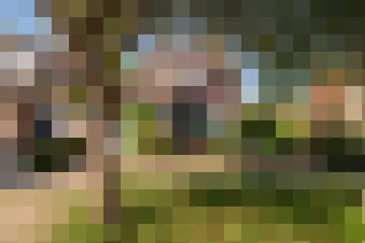 Noteboom 41 en Culemborg