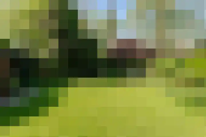 Noteboom 41 Culemborg thumbnail 26