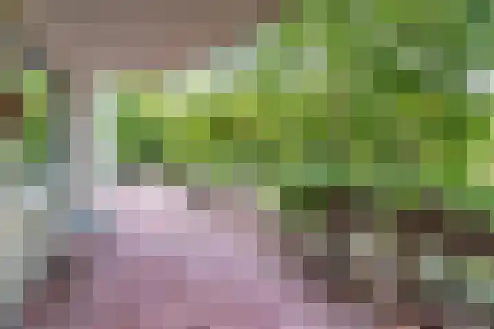 Noteboompark 1 Voorburg thumbnail 14