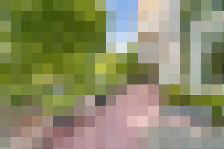 Noteboompark 1 Voorburg thumbnail 15