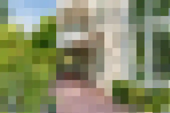 Noteboompark 1 Voorburg thumbnail 17