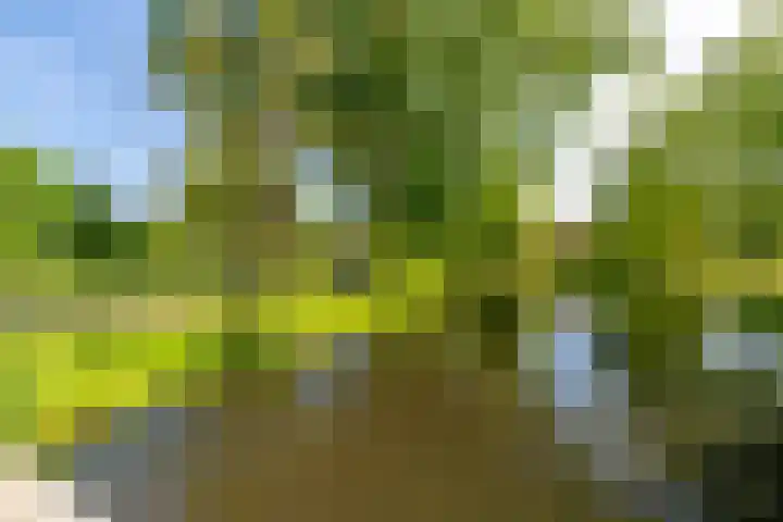 Noteboompark 1 Voorburg thumbnail 32