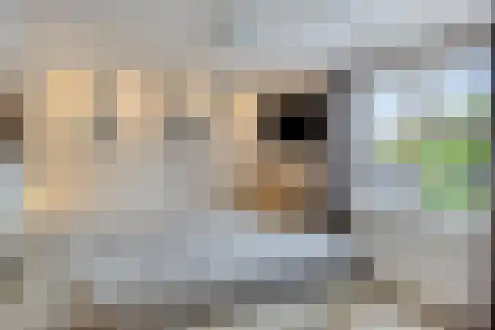 Noteboompark 17 Voorburg thumbnail 17