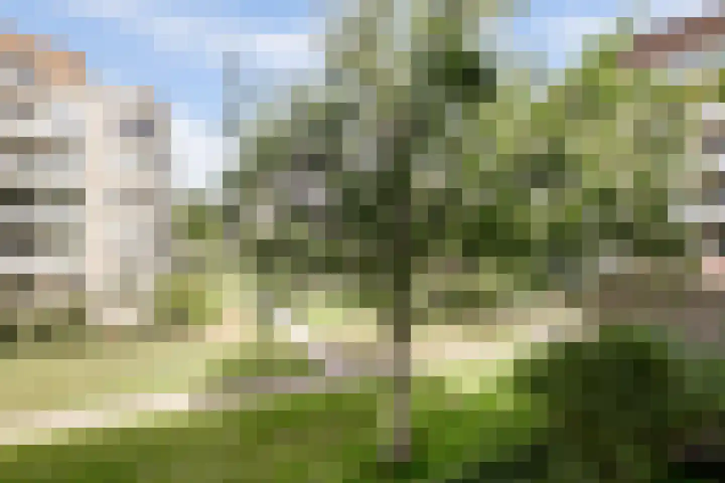 Noteboompark 17 Voorburg thumbnail 19